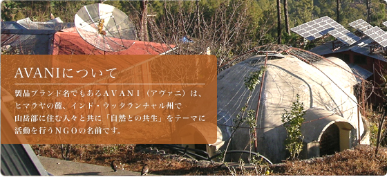 AVANIについて