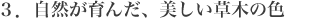 3.自然が育んだ、美しい草木の色